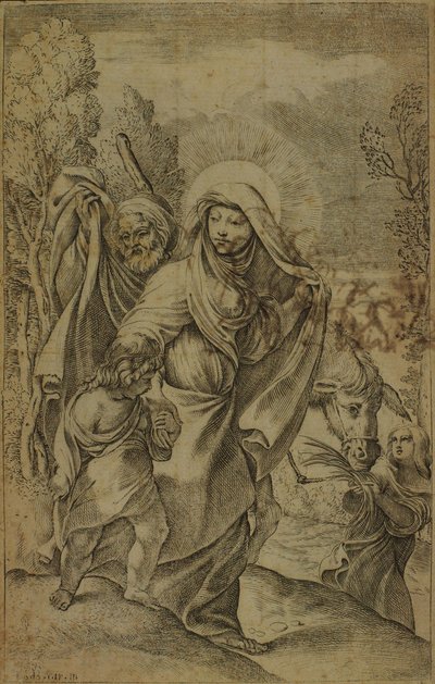 La Santa Vergine ritorna dall